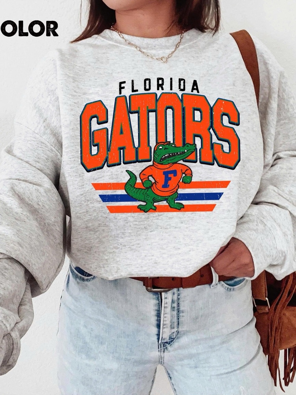Florida Gators Graphic Crewneck Sweatshirt - Gray